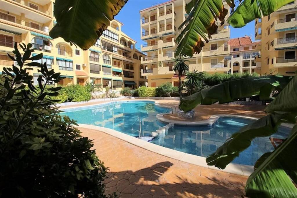 Apartament Studio, La Mata , Torrevieja, Viñamar 3 Exterior foto